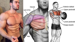 أقوى تمارين الصدرً في البيت (بدون معدات) - Chest Home