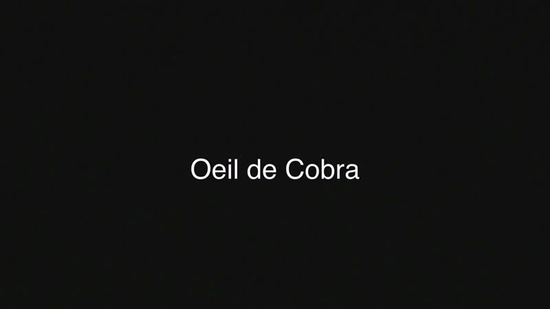 Manon Coppée, Fanny Boizard, Grégoire Tempels Oeil de cobra