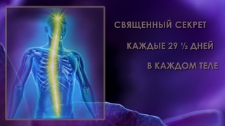 Священный секрет: каждые 29  дней / в каждом теле
