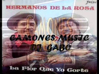 LOS HERMANOS DE LA ROSA - LA INFIEL
