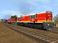 NSWGR 45 Class - Candy - White top
