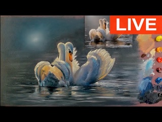 Painting Swans , Alla Prima Session