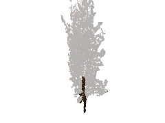Sosna 07 5m