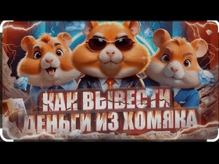 Как вывести деньги из хомяка с бонусом на биржу EBI а потом на карту