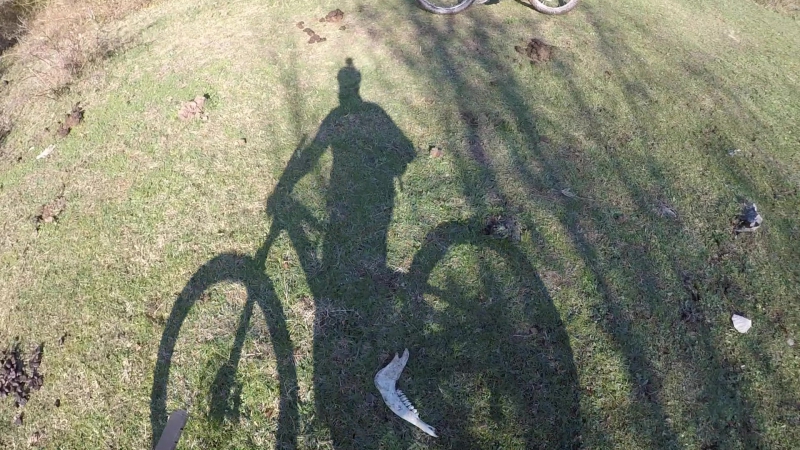 Riders Bike