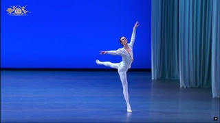Dmitry Vyskubenko (Russia) - Siegfried Variation | XIV Moscow Ballet Competition, Senior Round 3