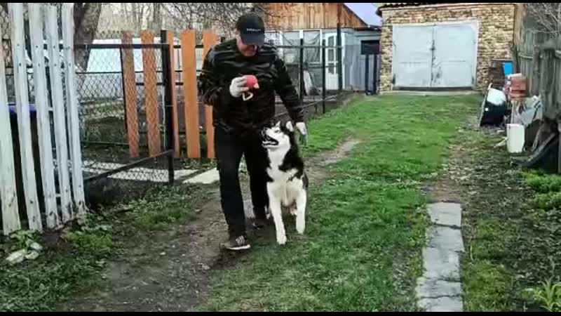 Boy