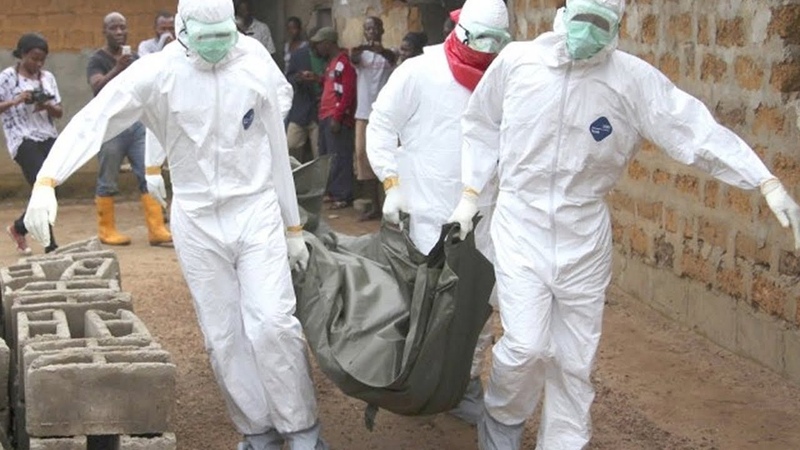 эпидемия сибирской язвы. массового заражения людей. массового заражения людей. биооружие биотерроризм. вирус эбола последствия.