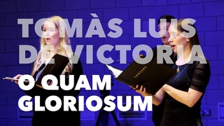 SANSARA | O Quam Gloriosum - Toms Luis de Victoria (LIVE)