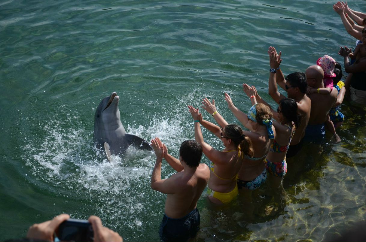 Сергей Желнинский Александрович | Воронеж