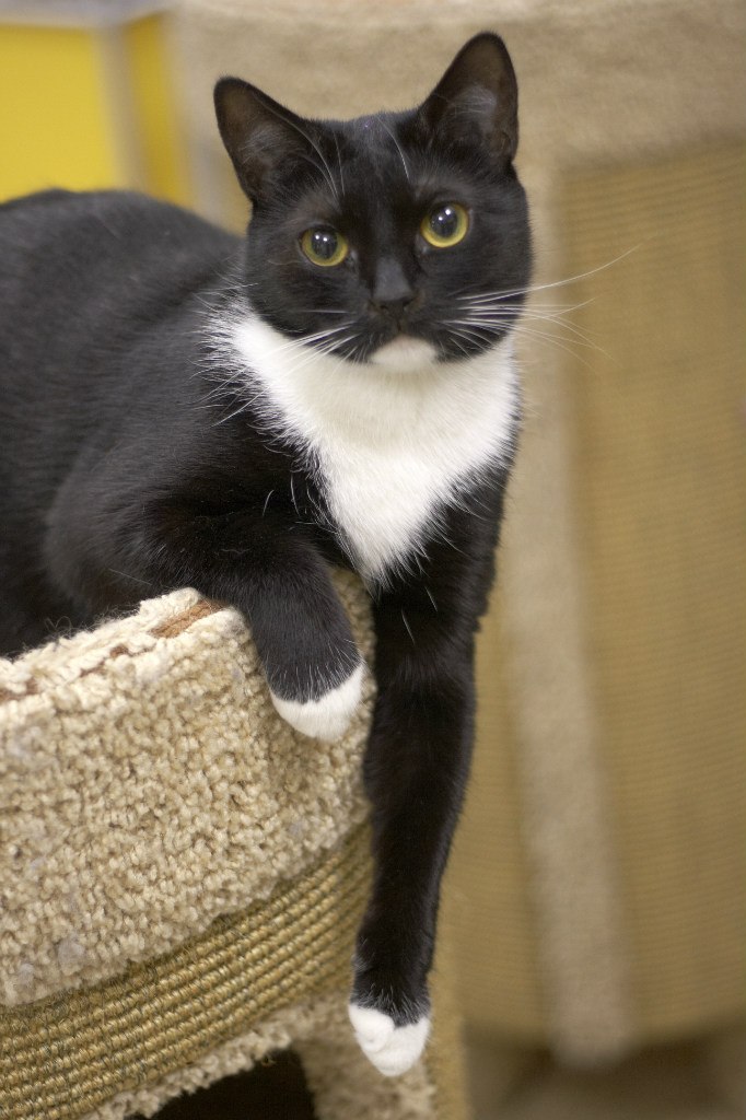 Катерина Uma rock♥n♥heart | Санкт-Петербург