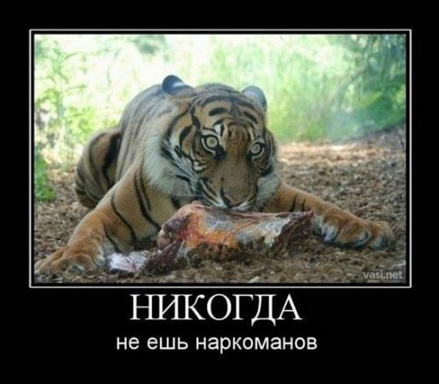 Денис Лебедев | 