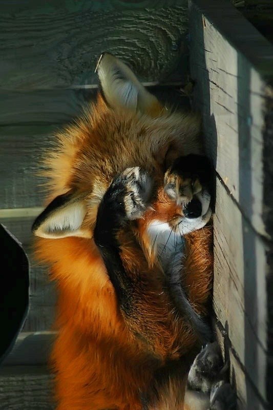 Люля Ратушная ♥ | Одесса