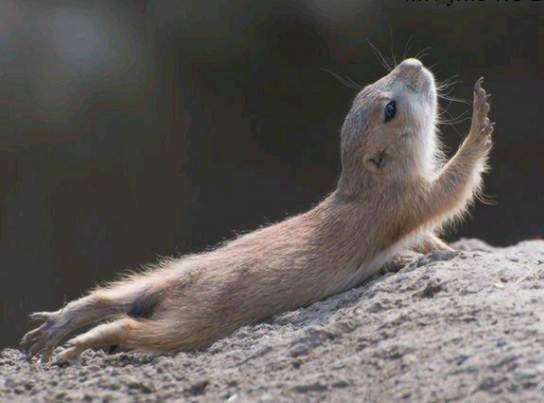 Хасан Мустафиев | Казань