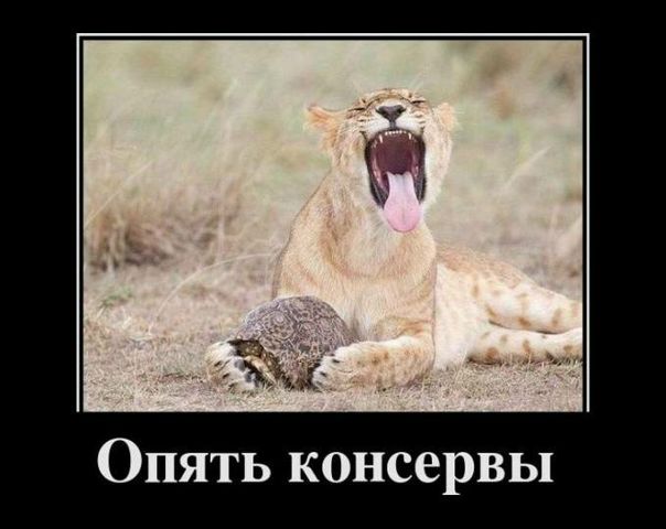 №14, Алексадр Пантелеев №14, Алексадр Пантелеев