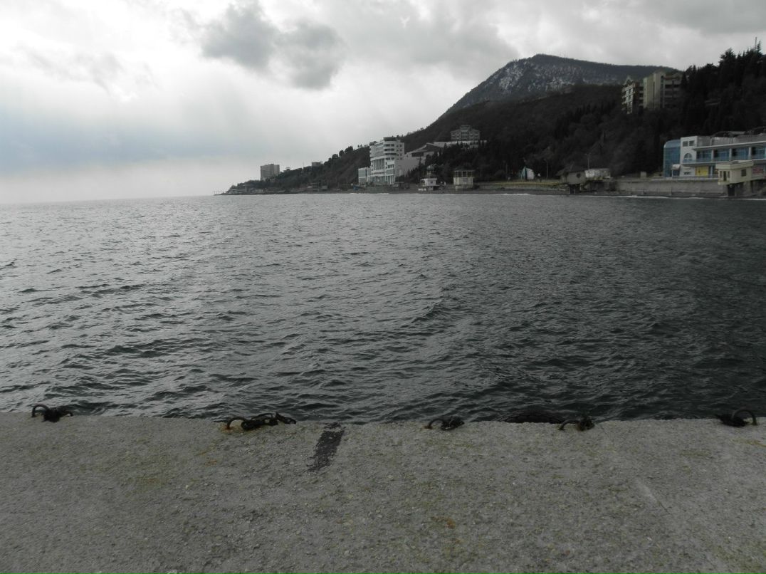 Андрей Баринов | Симферополь