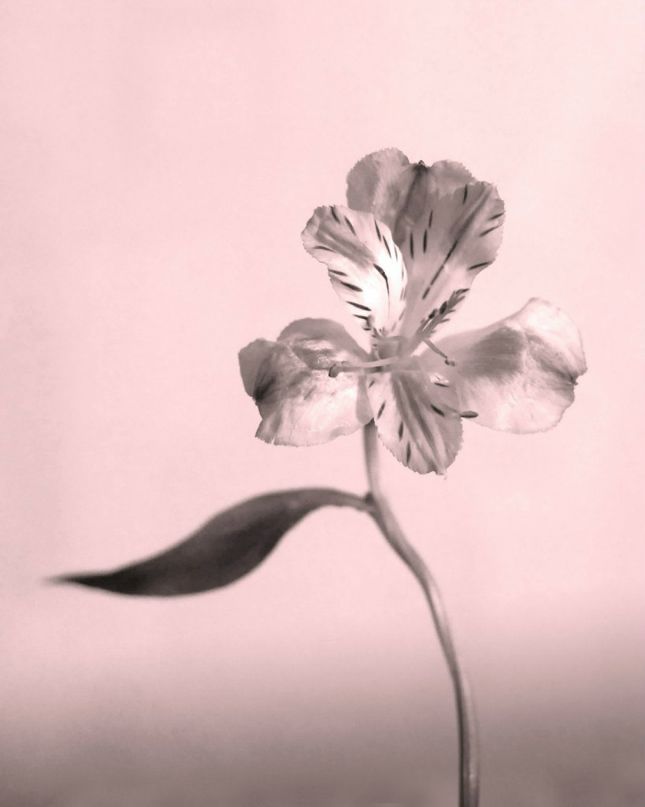 Наталья Эккарт | Солнечногорск