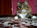 Фотография Юлия Котенёва