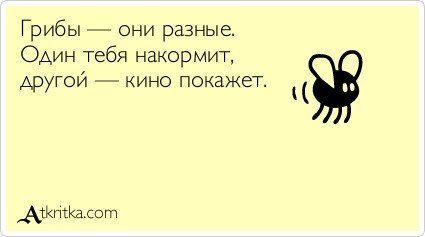 Александр Головач | Кириши