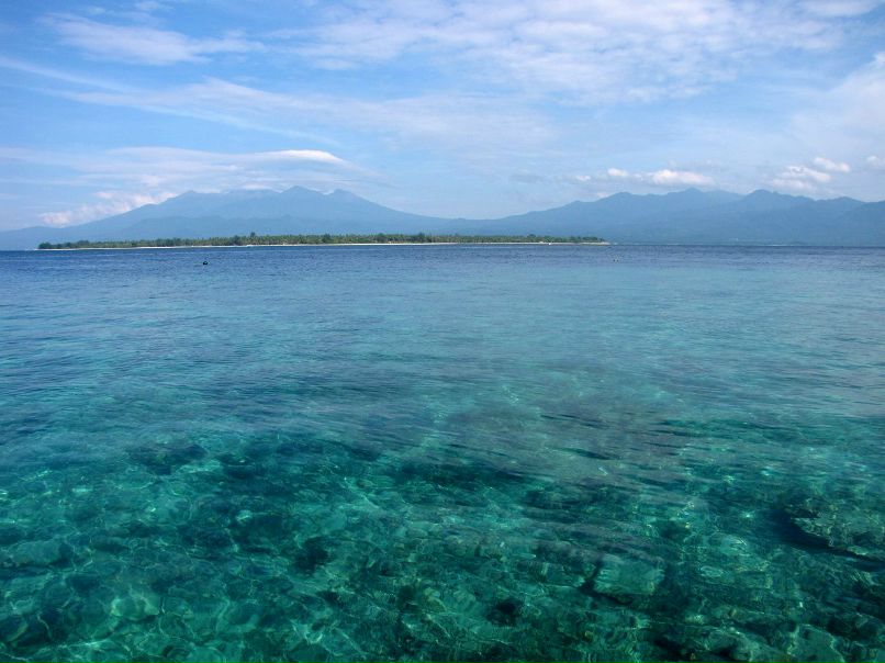 Татьяна Солнцева | 