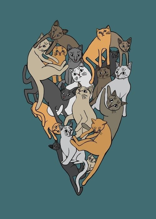 Майя Бабенко | Москва