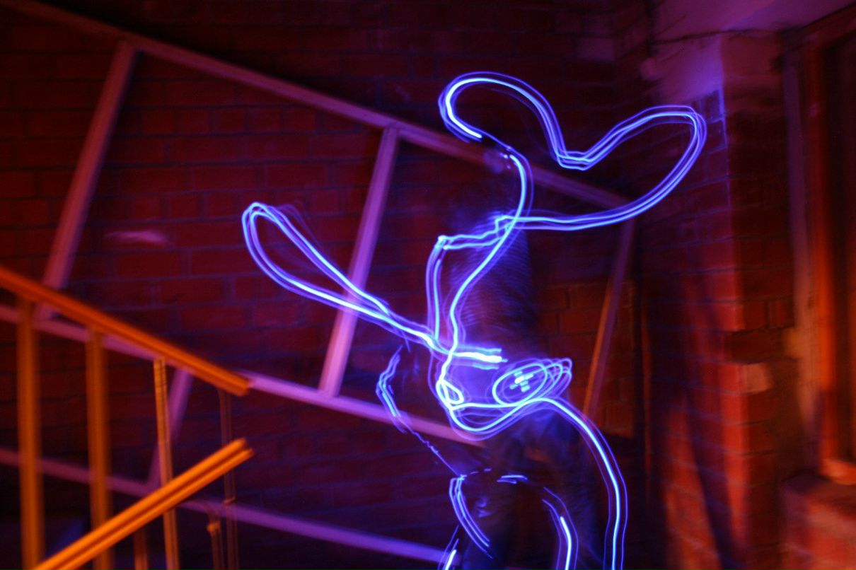 Темк Кот | Таганрог