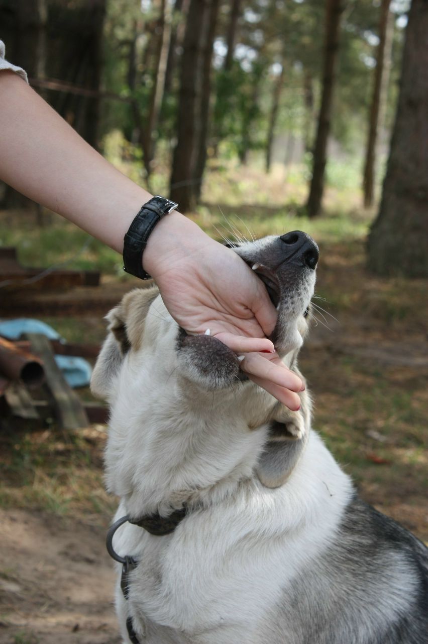 Александра Котова | Гродно