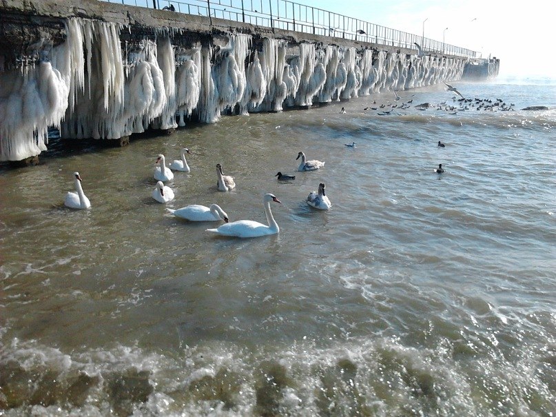 Максим Бондаренко | Феодосия
