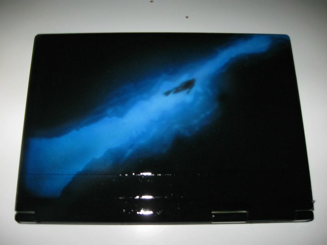 Серёга Серегеев | 