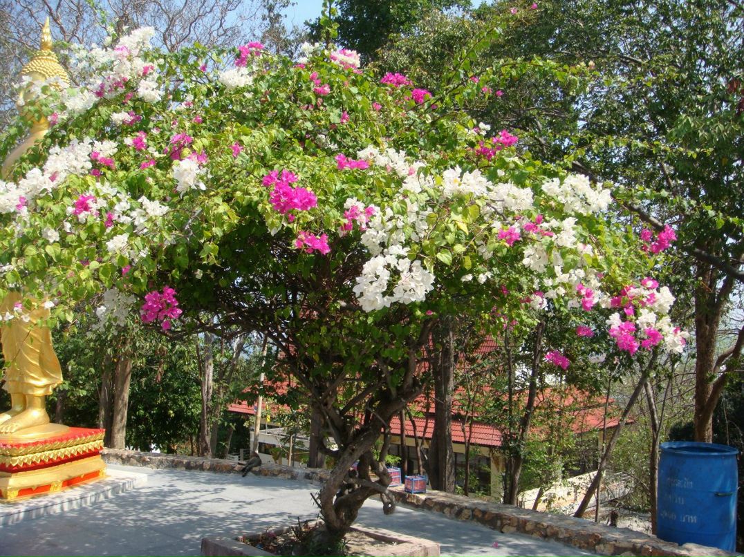 Ольга Попова | Санкт-Петербург