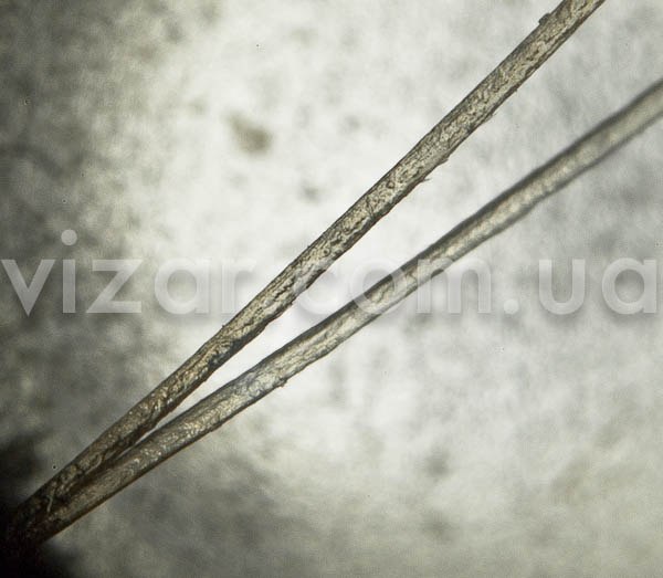 Олег Чернявский | 