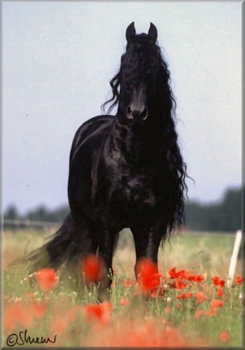 Ленусечка Кузнецова **HAPPY** | Киев