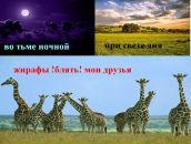 №32 Курт Вагнэр 13.05: профиль, фото, статус - ВКонтакте №32 Курт Вагнэр 13.05: профиль, фото, статус - ВКонтакте