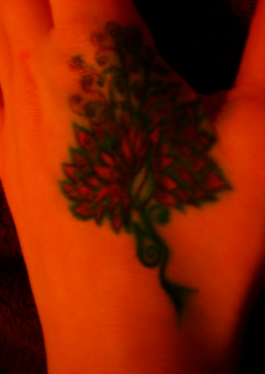 Елена Светличная | Toronto