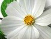 Оксана Степанова | Николаев