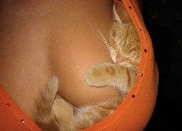 Павел Романовский | Пермь