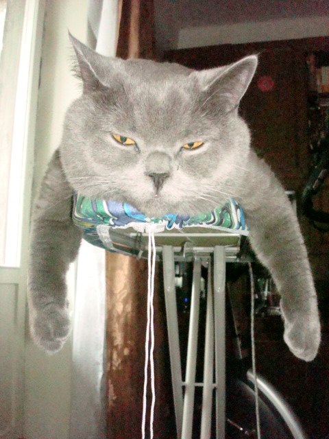 Людмила Ярош | Санкт-Петербург