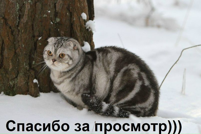 Дмитрий Андреевич | Мелитополь