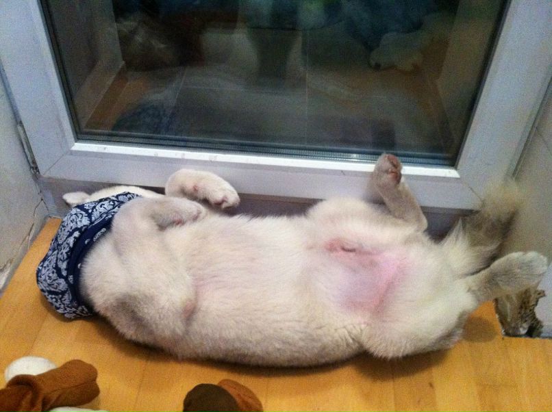 Антон Матвеев | Екатеринбург