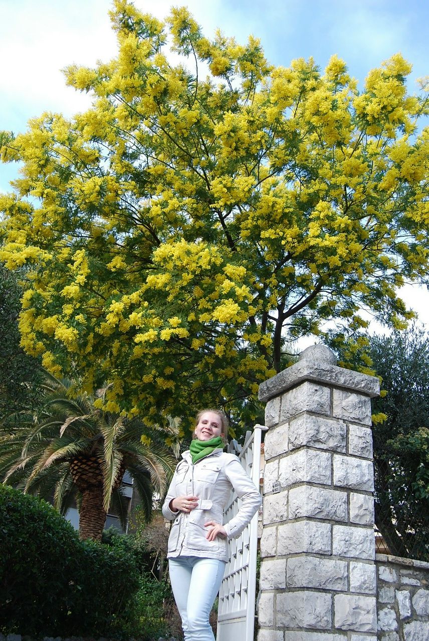 Кристина Молодцова | Санкт-Петербург