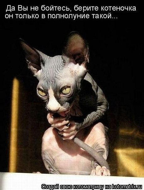 Аня Дёмина | Ярославль