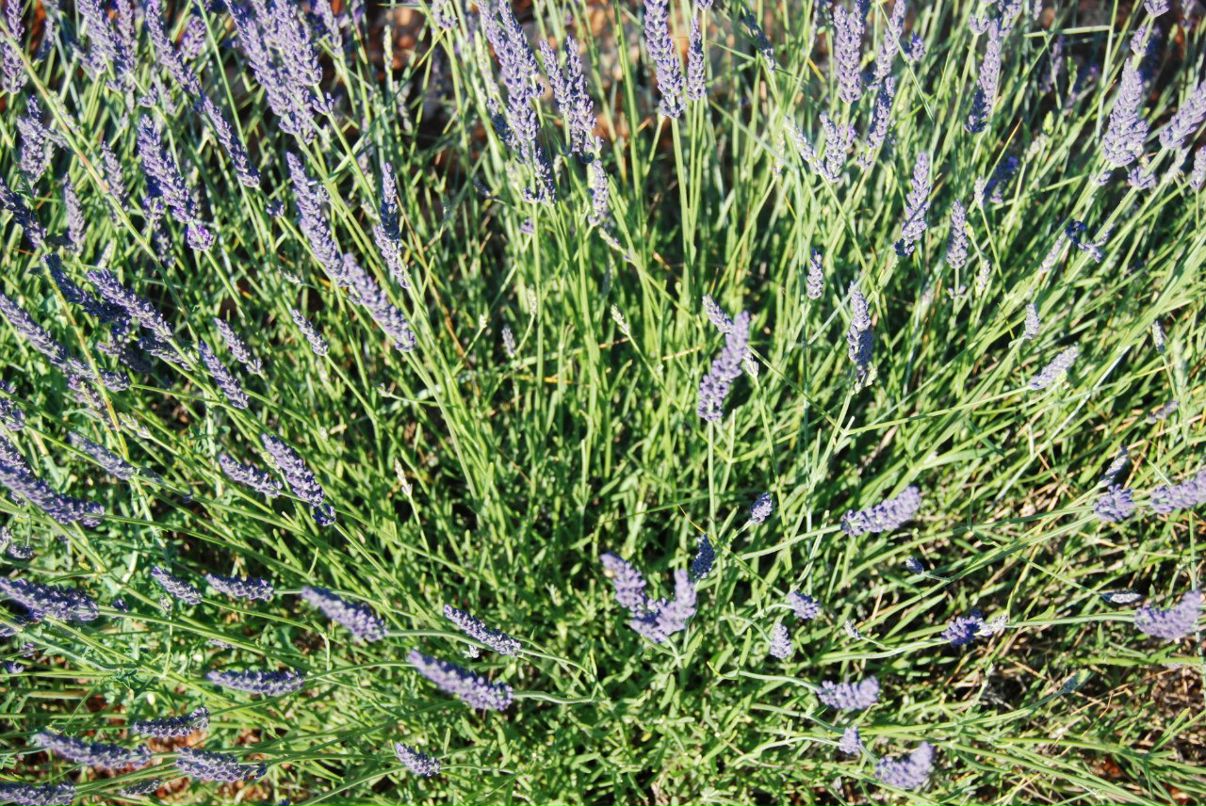 Оля Панина | Москва