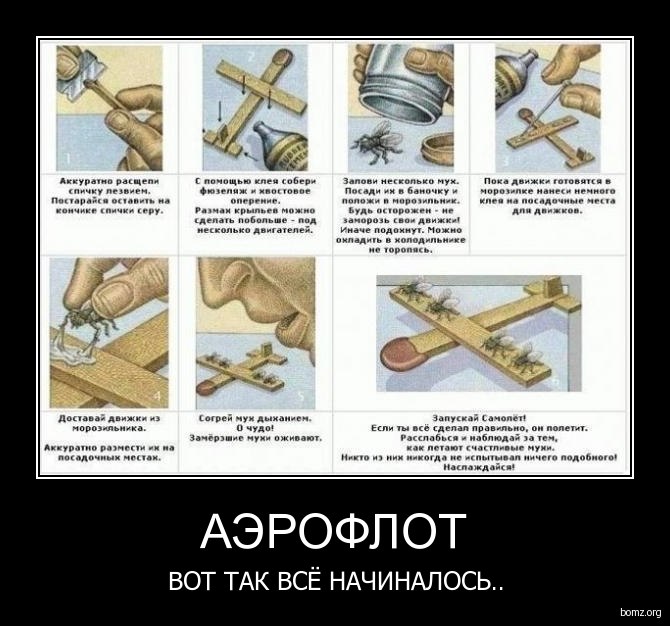 Анна Манохина | 