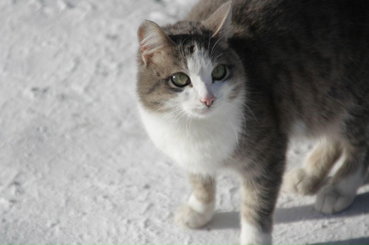 Алия Вильданова | Уфа