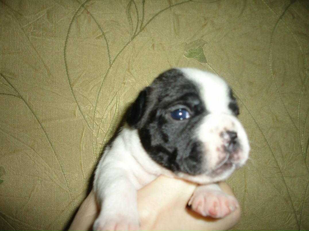 Александр Цап | Харьков