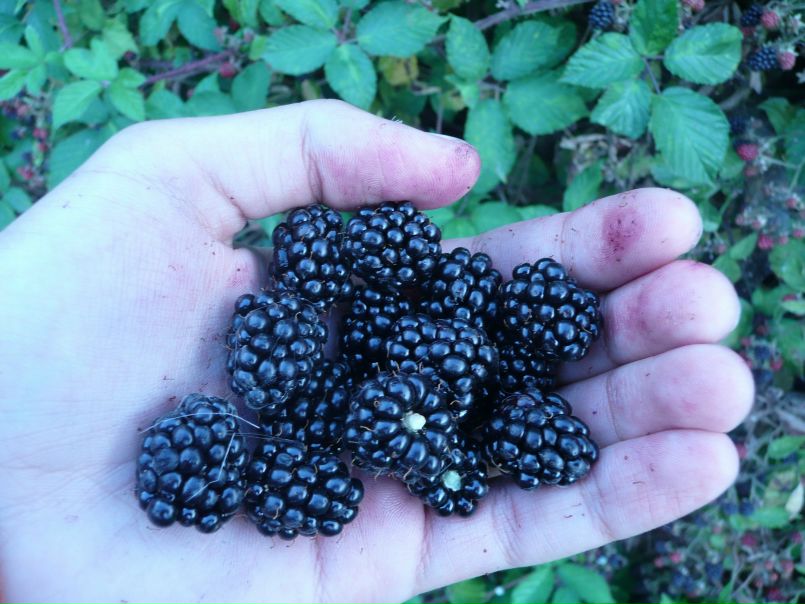 №48, Николай Ямченков, 33 года №48, Николай Ямченков, 33 года