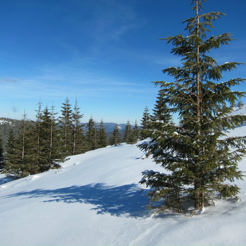 Женька Гаврилова | Днепр (Днепропетровск)