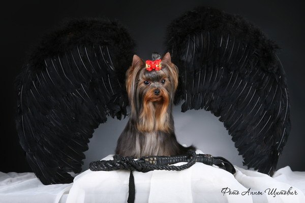 Галина Николаева | Санкт-Петербург