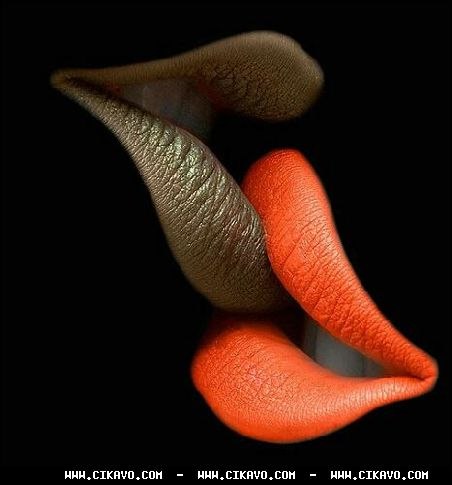 Ника Павлюк | Berkeley