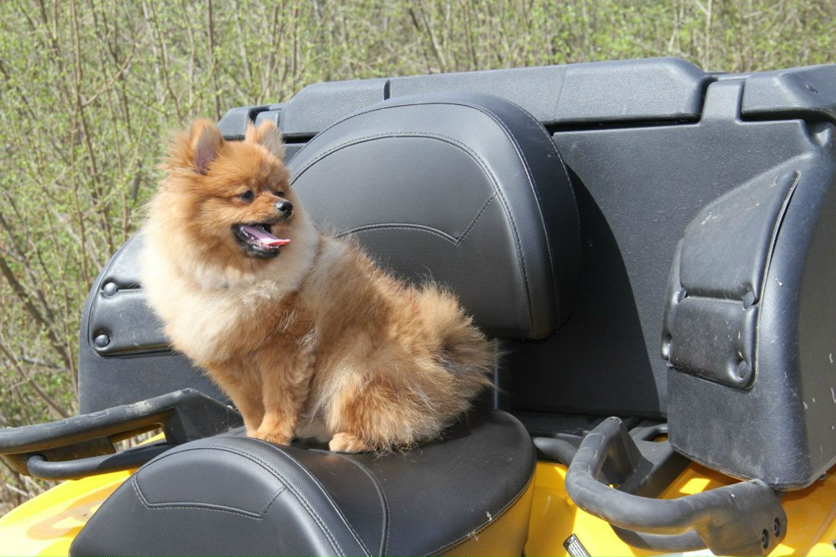 Aleksandr Kasatkin | Краснодар